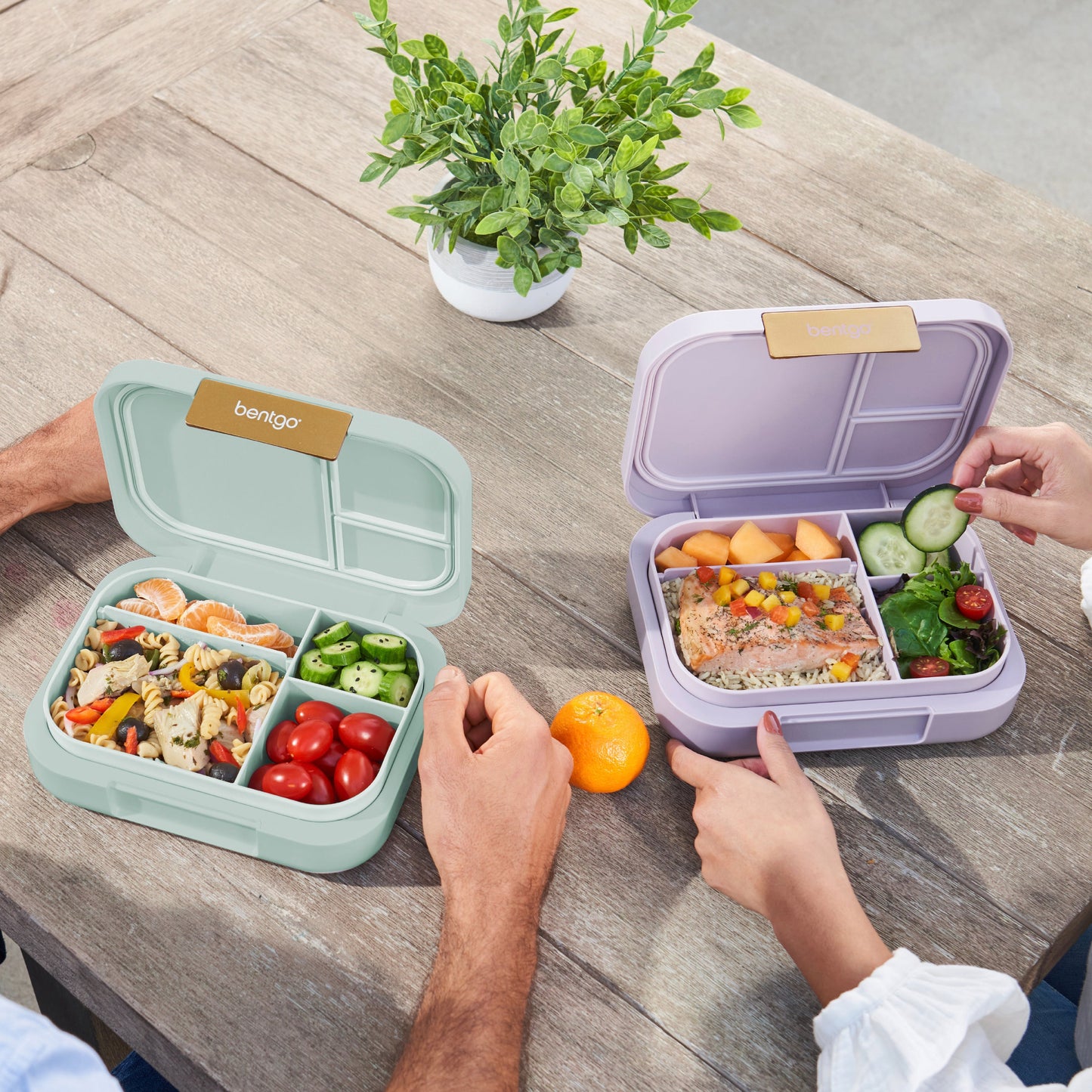 bentgo-modern-lunch-box-2-pack-u6 COSTCOBMCPRODUCTIMAGE_2.jpg